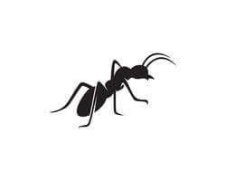 ant control 