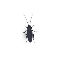 cockroach control 
