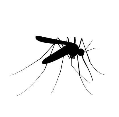 mosquito control 