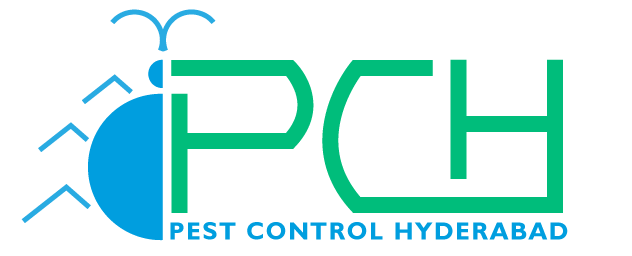 Pest Control Services In Hyderabad 